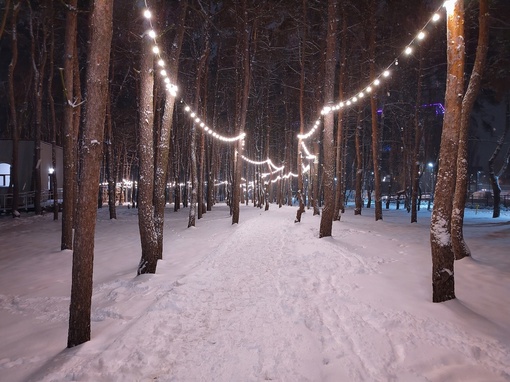 Волшебная зима в Дельфине ❄🎄

📷Ирина..