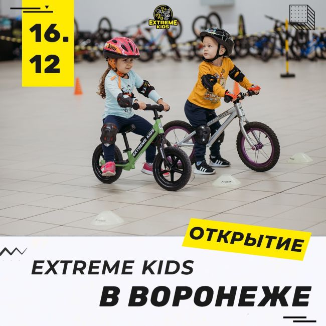 Экстрим кидс отзывы. Extreme Kids франшиза.