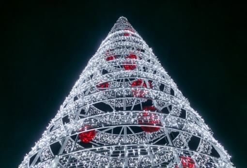 Главная городская елка в Омске откроется 28 декабря

Главная городская елка в этом году будет установлена в..