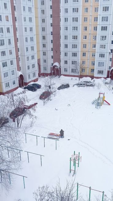 Этот недельный снегопад изменил Воронеж и воронежцев 
 
Когда такое было, чтобы и взрослые, и дети дружно..