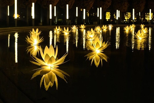 Зимние цветы на самом деле это светильники 😳в парке Галицкого

фото..