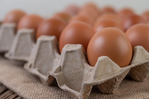 Похоже падения цен на яйца не стоит ждать раньше весны 2024 года.

По словам сенатора Сергея Митина, это..
