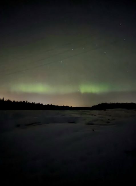 В Ленинградской области в Коккорево, Сосново, Кронштадте заметили северное сияние..