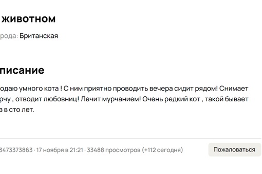 В Казани продают кота, который отводит любовниц за 2,5 млн руб 
 
Продавец пишет, что с котом классно проводить..