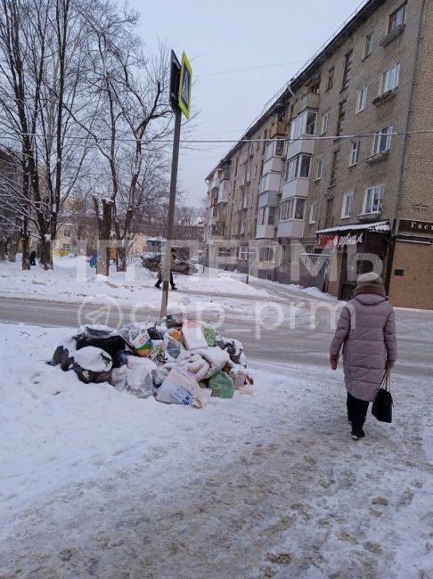Напротив входа в парк Миндовского со стороны ул. Снайперов. Этой истории почти пять лет. Раз в день мусор..