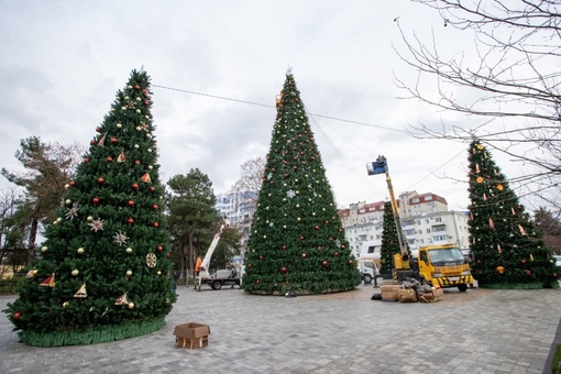 🎄Не одну, а сразу 6 новогодних ёлок нарядили на Театральной площади в..