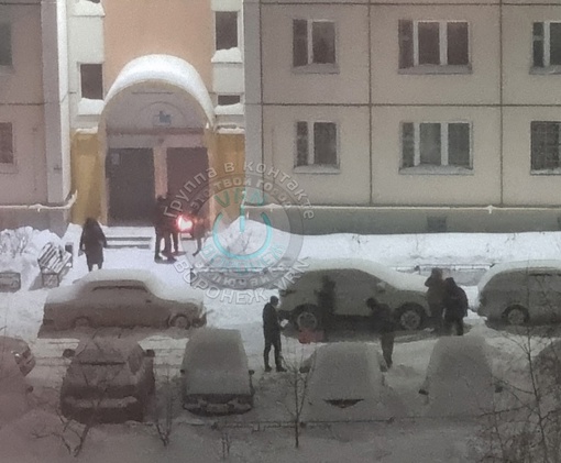 Народ совмещает приятное с полезным))) Чистит снег и жарит..