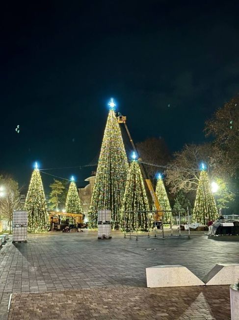 🎄Не одну, а сразу 6 новогодних ёлок нарядили на Театральной площади в..