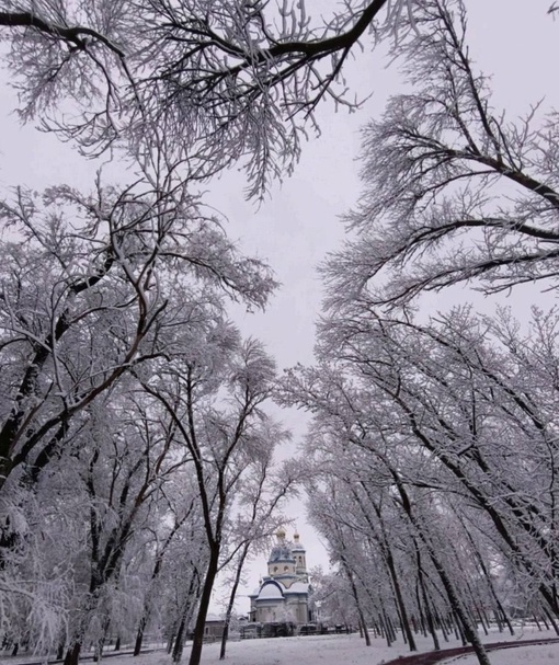 На севере Ростовской области зима уже во всей красе..