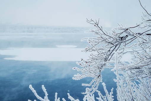 Морозная красота из Городецкого района

📸Ян Кемпи
..