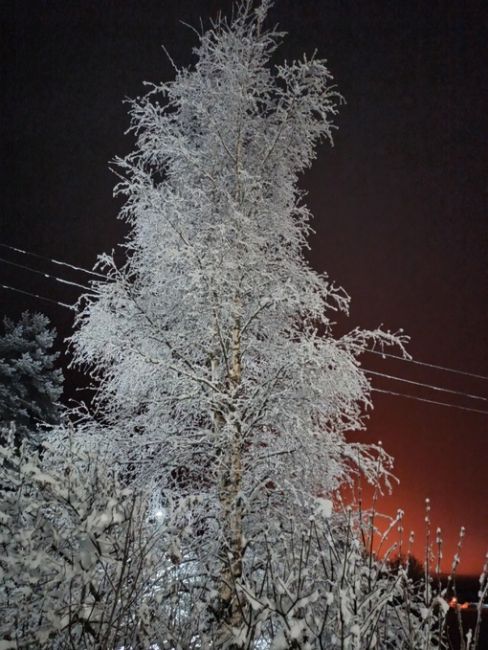 Невероятная зимняя красота в Ленинградской области..