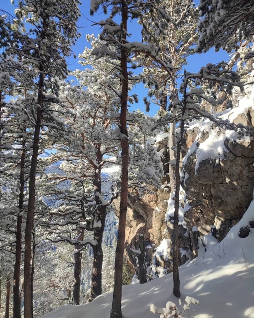 Настоящая зимняя сказка в Адыгее❄️
📍Урочище Курджипс, скала..