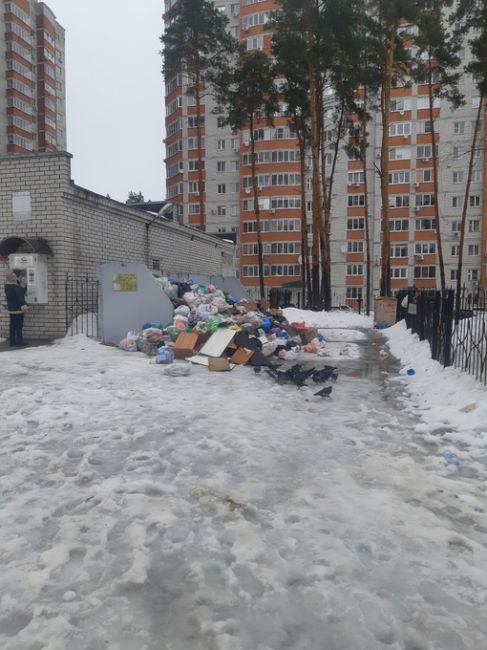 Очень много фотографий от подписчиков с невывезенным мусором. Фото с разных улиц Воронежа
Наверное..