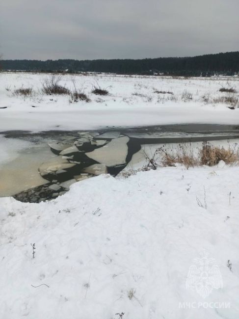 🗣спасатели достали из ледяной воды мужчину, который бросился на спасение своего пса! 
 
60-летний хозяин..