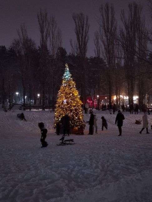 Волшебная зима в Дельфине ❄🎄

📷Ирина..