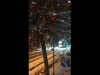 ❄️ Настоящее зимнее утро в Краснодаре. Как в Вашем районе обстоят дела со снегом?
📹 Виктория..