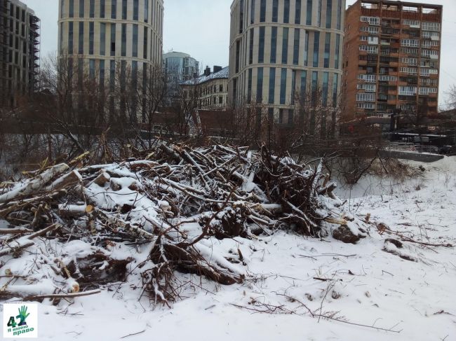 🚜🌳🪓

Прямо перед новым годом началось строительство террасного парка в Почаинском овраге.

Началось, как..