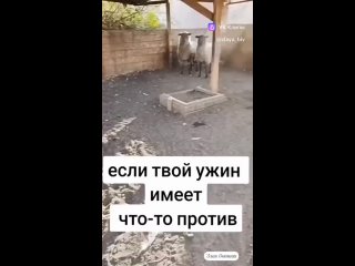 Омичам объяснили, откуда на улицах города появляются косули

Сегодня утром в ряде городских пабликов..