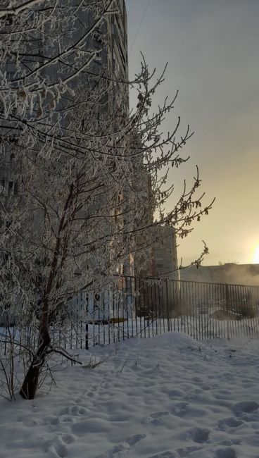 Зимняя сказка от пермячки 😍 Все покрылось..