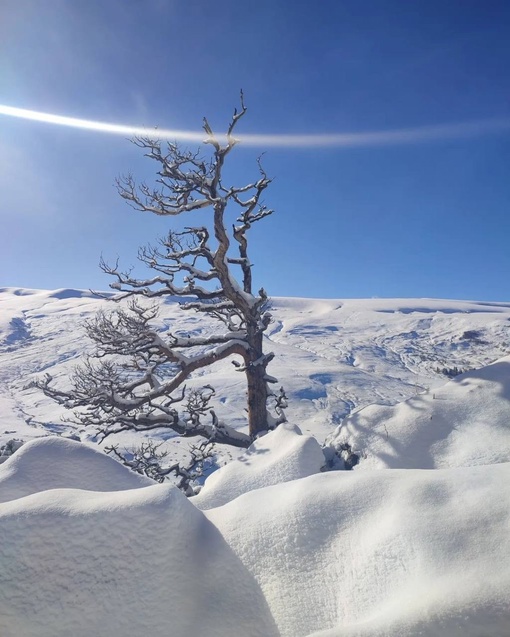 Настоящая зимняя сказка в Адыгее❄️
📍Урочище Курджипс, скала..