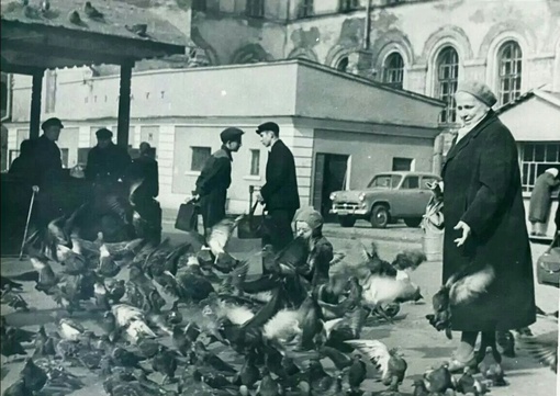 г.Горький 1958 год.💙
Мытный..