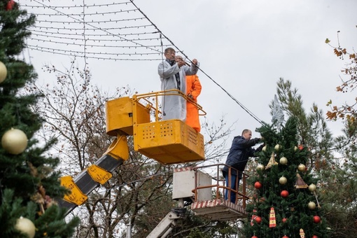 🎄Не одну, а сразу 6 новогодних ёлок нарядили на Театральной площади в..