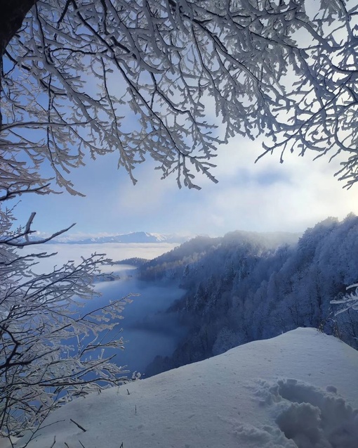 Настоящая зимняя сказка в Адыгее❄️
📍Урочище Курджипс, скала..