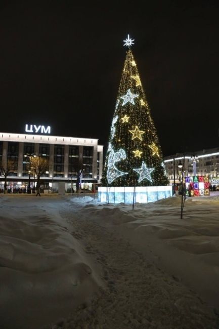 🎄 Пермские елочки.

Фото: Родион..