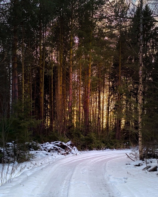 Зима, солнце, снег и река 🧤🌞❄️
Что может быть красивее? 😻
..