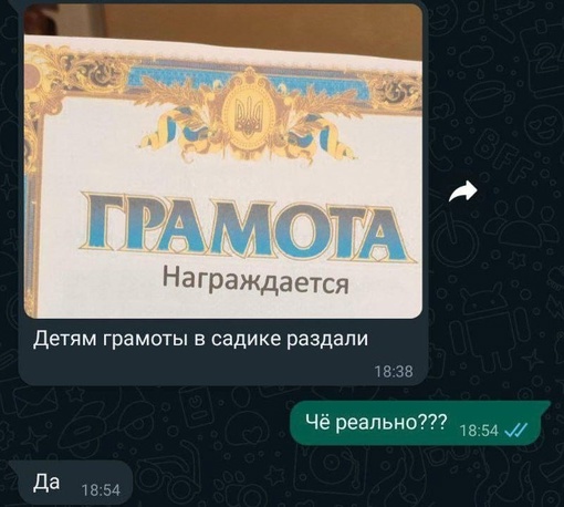 Грамоты с украинской символикой выдали воспитанникам детского садика в Хабаровске после соревнований.

В..