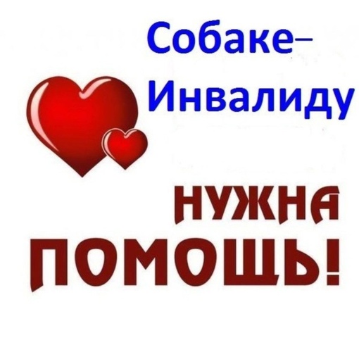 У Нас  ни как не получается собрать на передержку.Сумма для нас ОГРОМНАЯ  Из 9000 собрано только 3500                        ..