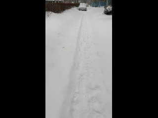 Вот столько снега в пгт. Анна, Воронежская область 🌨
Зима раскрыла снежные..