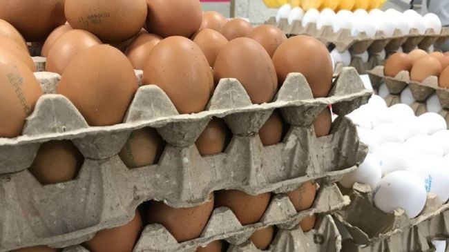 Самарцам рассказали, когда упадут цены на куриные яйца 

Ждать осталось недолго
 
Снижение цен на куриные..