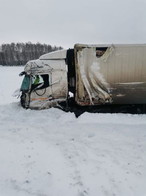 В Омской области лоб в лоб столунулись две фуры. Пострадал один из водителей. 

Сегодня около 10:30 часов в..