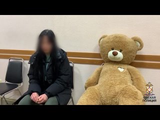 Омская студентка, укравшая медведя с новогодней композиции, сама пришла в полицию

Полицейские установили..