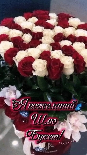 💐Свой вековой юбилей отмечает жительница Уфы Назия Ишмухаметова

Сегодня, 27 декабря, в сотый раз свой день..