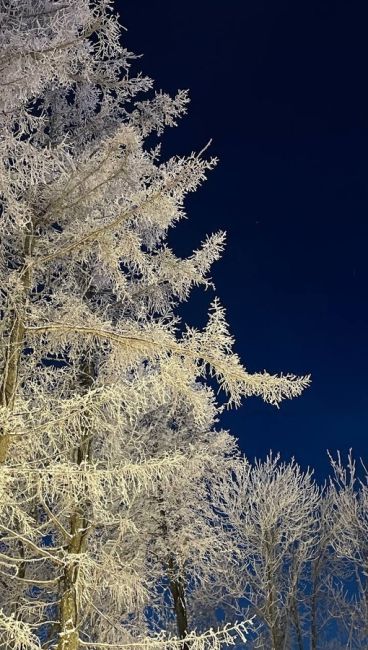 «Швейцария» продолжает радовать морозной красотой!

..