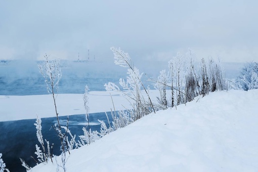 Морозная красота из Городецкого района

📸Ян Кемпи
..