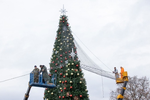 🎄Не одну, а сразу 6 новогодних ёлок нарядили на Театральной площади в..