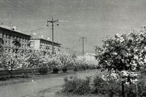 Ретроспектива. Омск. 1959-1960 гг. Улица Красный..