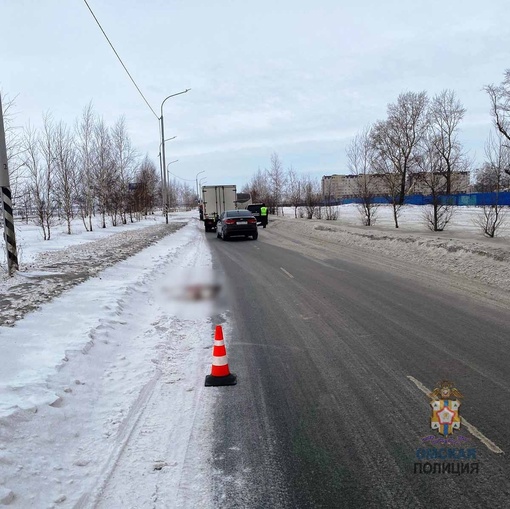 В Омске автобус с детьми насмерть сбил косулю

Сегодня в 10:00 часов в дежурную часть Госавтоинспекции..