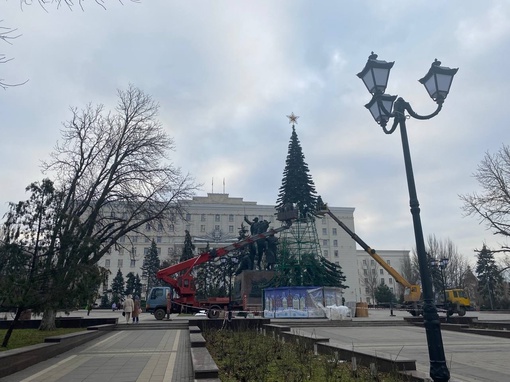 На площади Советов перед областным правительством ставят елку

Фото: Газета..