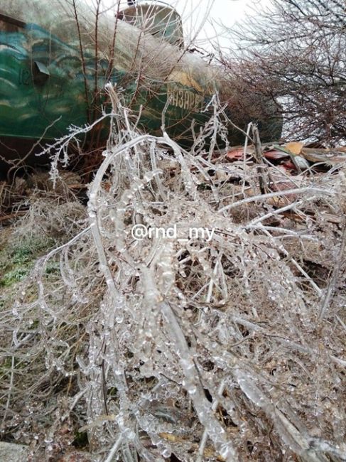 В Новочеркасске в прямом смысле слова природа..