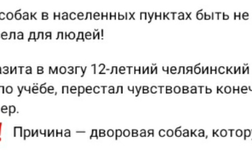 Из-за паразита в мозгу 12-летний челябинский школьник скатился по учёбе, перестал чувствовать конечности и..