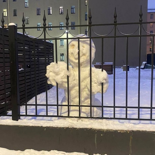 После аномальных морозов в Петербурге отправили за решётку..
