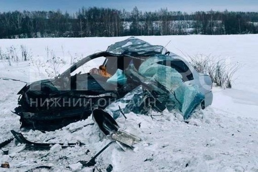 ❗️Смертельная авария под Богородском — погибли три человека 

На трассе Р-125 у поворота на село Лакша..