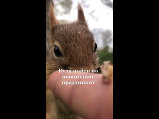 Власти Краснодара организуют десятки мероприятий на новогодние праздники.

Среди локаций — Чистяковская..