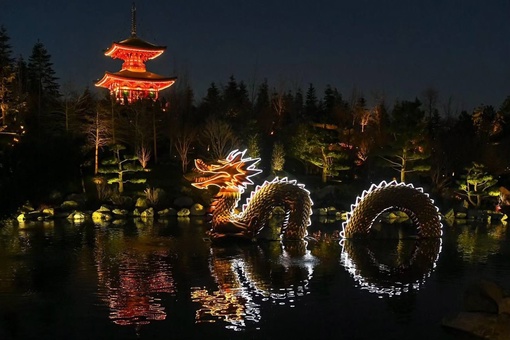 Вечером дракон в Японском саду преображается — начинает светиться 🐉 

Фото..