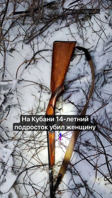В Краснодарском крае 14-летний подросток застрелил женщину-опекуна

Убийство было совершено в Тихорецком..