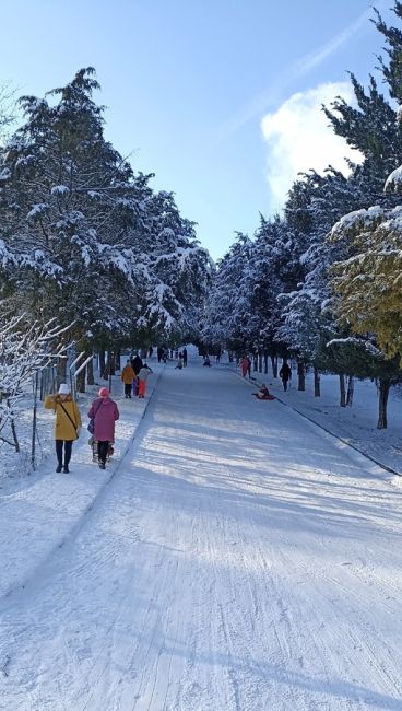 Зимняя фотопрогулка по Ботаническому саду Ростова..